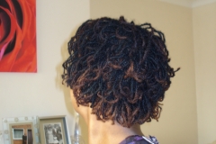 Client W - red and brown highlights on Sisterlocks