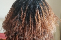 Client P - Sisterlocks with golden ends