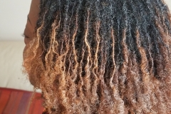 Client P - Sisterlocks with golden ends